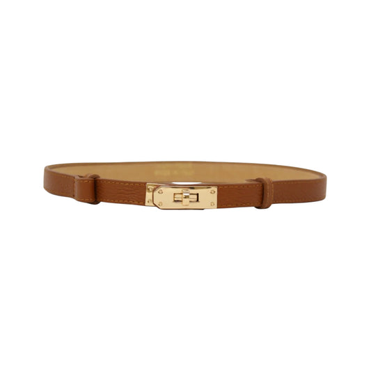 Brown belt with a gold buckle on a white background