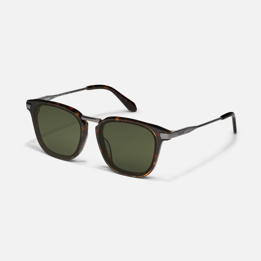 men's round tortoise frame sunglasses on white background 