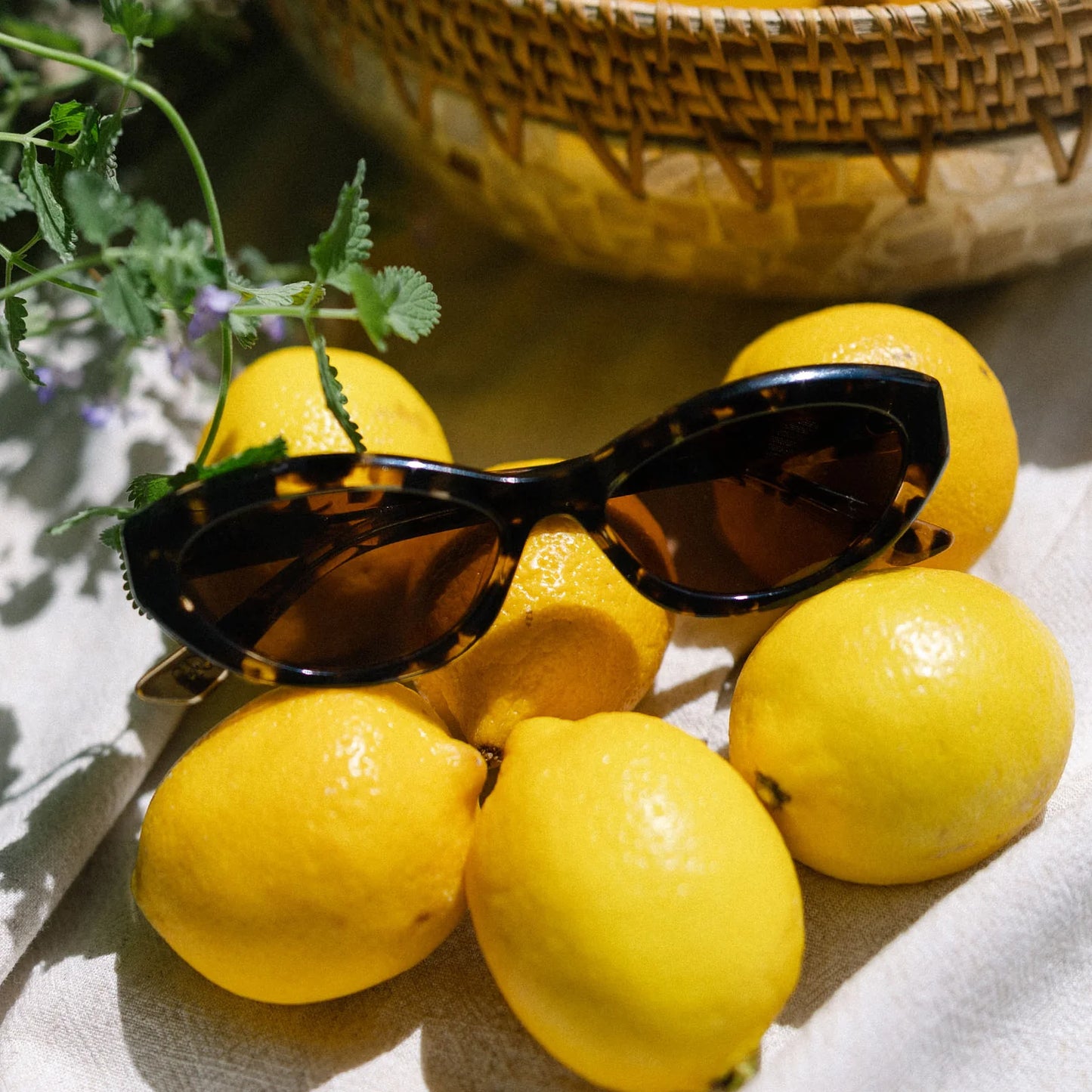 Diff Eyewear Dolce Bella Espresso Tortoise Frame with Brown Lens Sunglasses