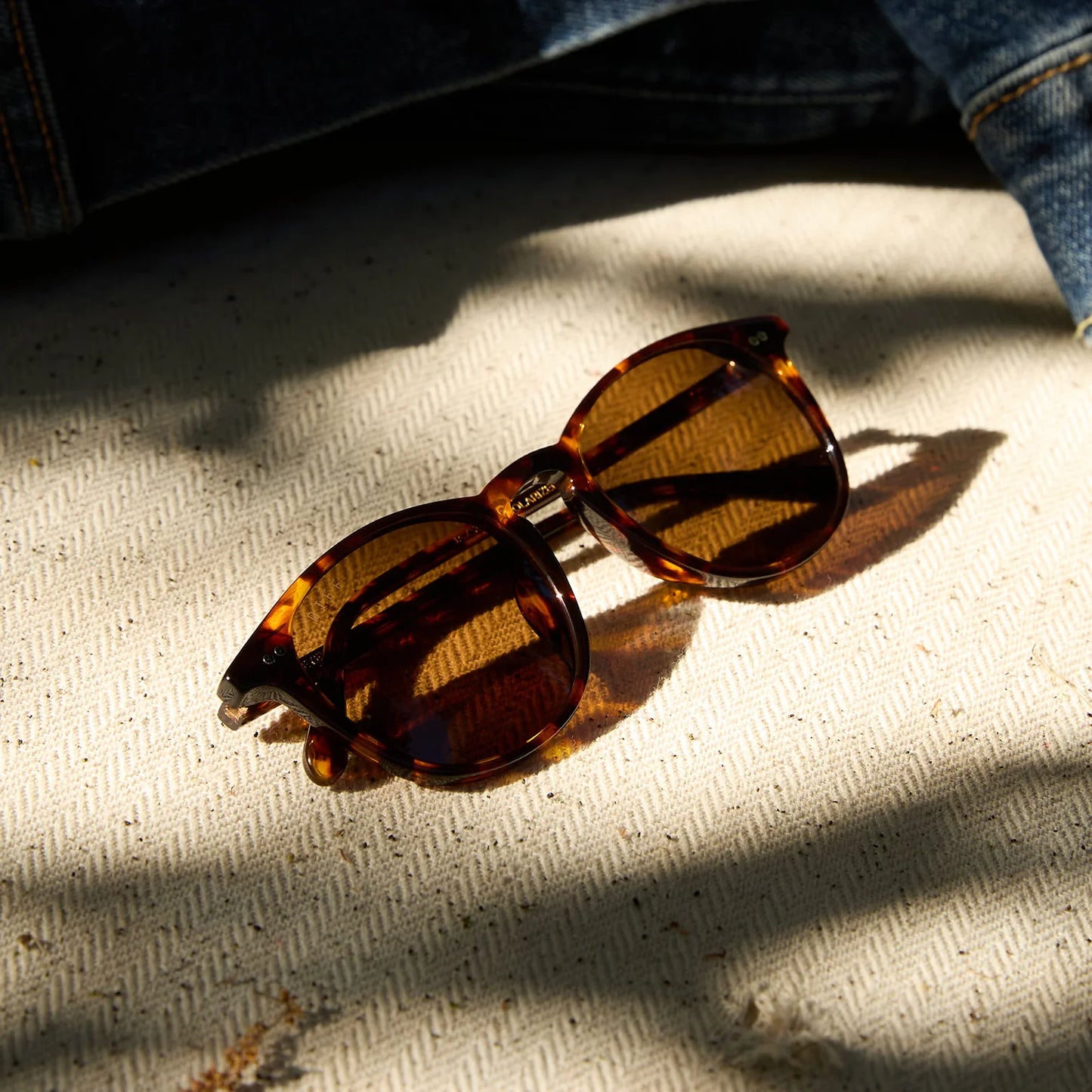 Diff Eyewear Jaxson XL Rich Tortoise Sunglasses