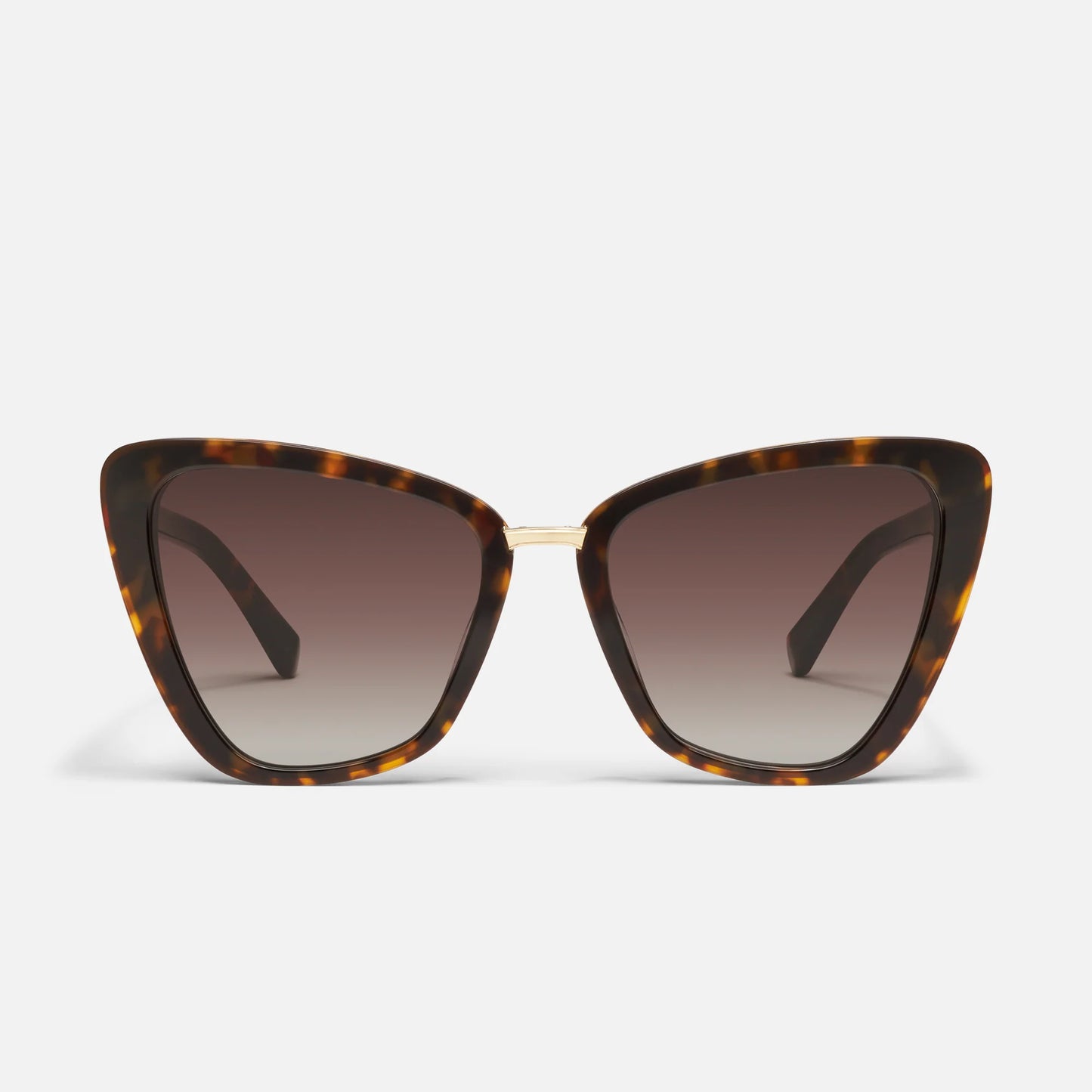All Talk Brown Tort Frame and Brown Lens Sunglasses