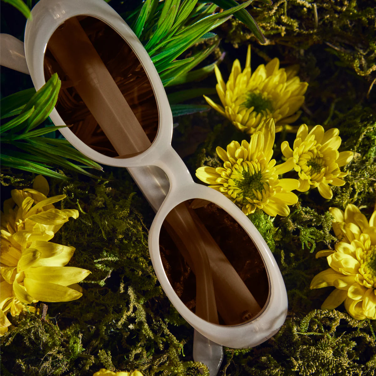 Felt Cute Bone Frame and Tan Lens Sunglasses